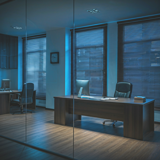 Professional law office interior